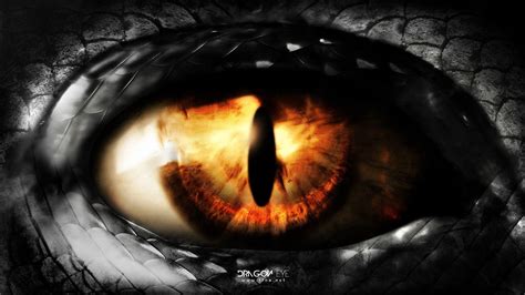 olho de dragão